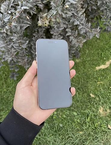 сумка новый: IPhone 15 Pro, Б/у, 128 ГБ, Серебристый, Чехол, 100 % — 4