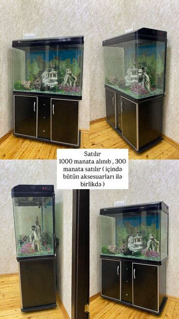 Akvariumlar: Akvarium-şkaf Akvarium, 400 l