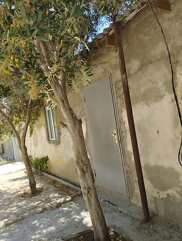 buzovna ev satışı: Bakı, Buzovna, 180 kv. m, 6 otaqlı, Hovuzsuz, Su, Telefon, Kombi — 3