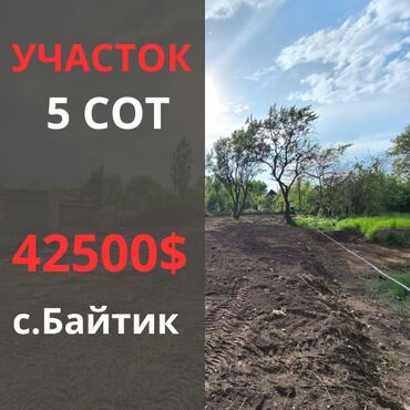 иссык куль горячие источники: 5 соток, Красная книга, Договор купли-продажи