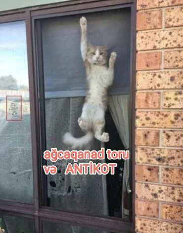 Jalüzlər: Жалюзи-москитные сетки на пластиковые окна и двери. Обычные, на — 6