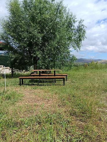 xizi: Bağ yerləşir xızıda Xələnc kəndində düz meshanin yanında — 2