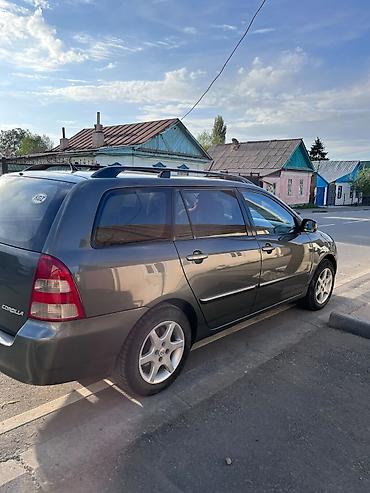 бампер тойота раум: Toyota Corolla: 2002 г., 1.6 л, Автомат, Бензин, Универсал — 9