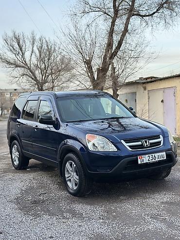 Honda: Honda CR-V: 2002 г., 2.4 л, Автомат, Бензин, Кроссовер — 9