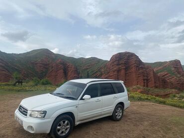 Subaru: Subaru Forester: 2002 г., 2 л, Автомат, Бензин, Универсал