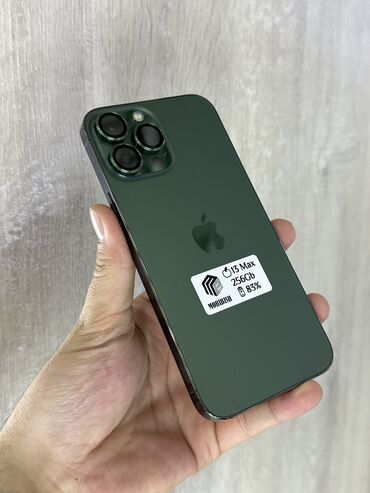 Apple iPhone: IPhone 13 Pro Max, Б/у, 256 ГБ, Alpine Green, Защитное стекло, Чехол, 83 %