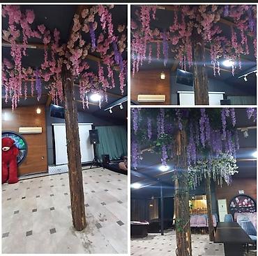 Digər biznes avadanlığı: Restoran, xina evleri uchun rengli gul dekorlari birlikde 600 Azn. 3 — 1
