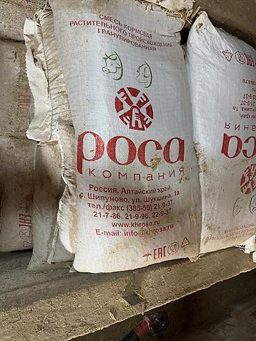 кролик в клубнике: Корм для Арашанов Смесь кормовая растительного происхождения — 1