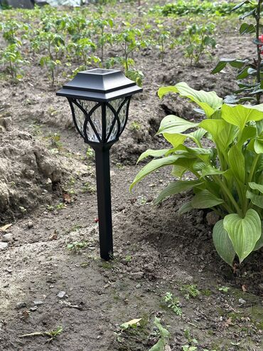 цветная лампа: Удобства для дома и сада, Лампа, Самовывоз