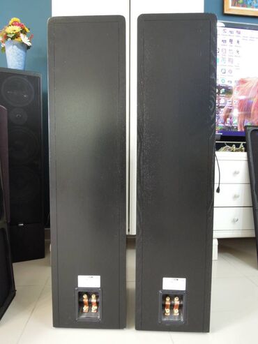 Zvučnici i stereo sistemi: Canton Ergo SC-L + Control unit Kao novi, ispravni zvučnici više — 10