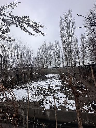 Продажа участков: 5 соток, Для бизнеса, Красная книга, Тех паспорт — 4