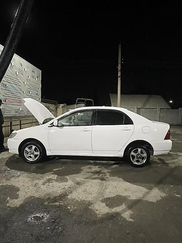skoda rapid 2012: Алмашуу жолу бар чонурак машинага акча кошуп берем Состояниясы жакшы — 2