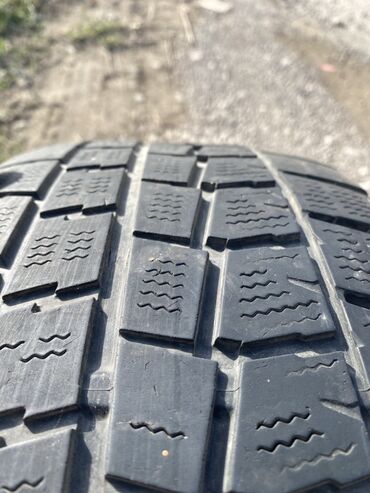 шинный мир: Шины 205 / 55 / R 16, Зима, Комплект, Легковые, Япония, Dunlop