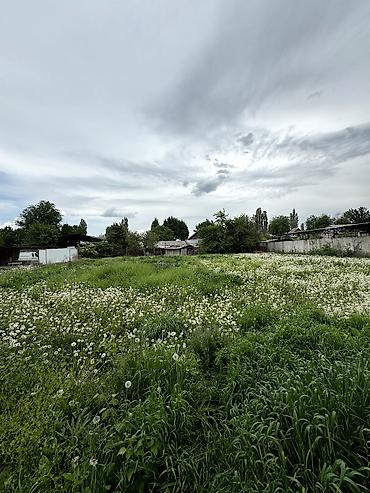 Продажа коттеджей и домов: 📌В самом центре села Беловодское срочно продается дом с времянкой на — 6