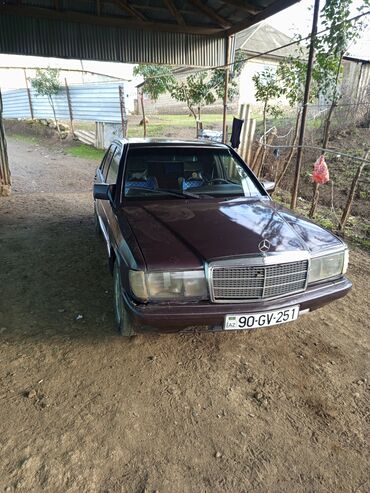 yan güzgü s: Mercedes-Benz 190: 2 l | 1993 il Kabriolet