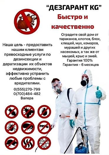 Дезинфекция, дезинсекция: Дезинфекция, дезинсекция, | Тараканы, | Транспорт, Офисы, Квартиры — 11