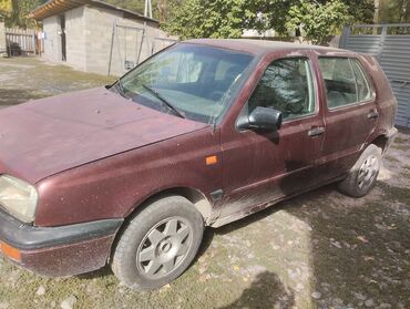 Volkswagen: Volkswagen Golf: 1992 г., 1.8 л, Механика, Бензин, Хэтчбэк