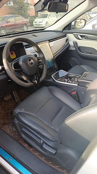 Weltmeister: Weltmeister EX5, 2021 г., 150000 км, Передний, На заказ — 8