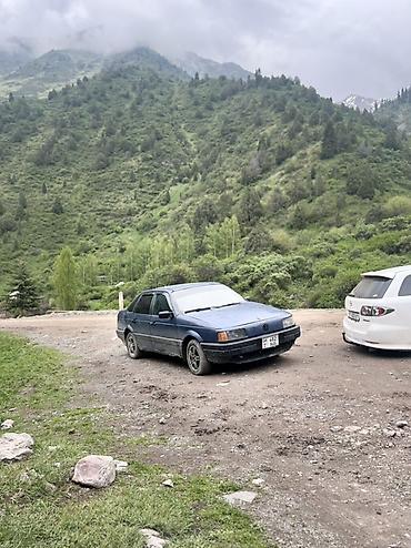 rota grid: Volkswagen Passat: 1989 г., Седан — 3