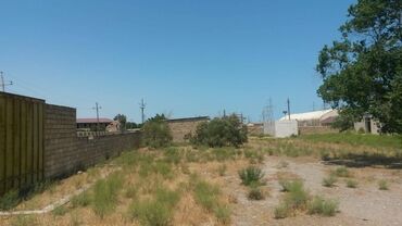 Torpaq sahələrinin satışı: 200 sot, Tikinti, Makler, Kupça (Çıxarış) — 4