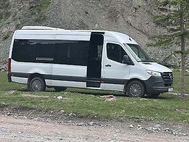 w210 e320: Пункт назначения: Все направления, Количество мест: 17, Лицензия №: Есть — 3