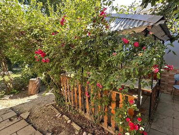 Günlük kirayə evlər: 200 kv. m, 3 otaqlı, Artezian quyusu, Kanalizasiya, Qaz — 10