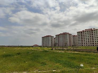 binədə: Kənd təsərrüfatı, Kupça (Çıxarış) — 4