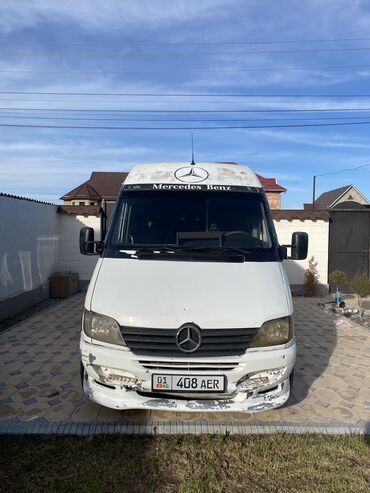 Mercedes-Benz: Mercedes-Benz Sprinter: 2003 г., 2.9 л, Механика, Дизель, Бус