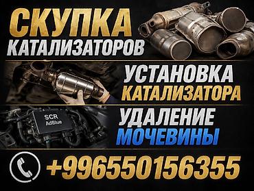 скупка ката: Услуги по работе с выхлопной системой и SCR: - Скупка катализаторов — 1