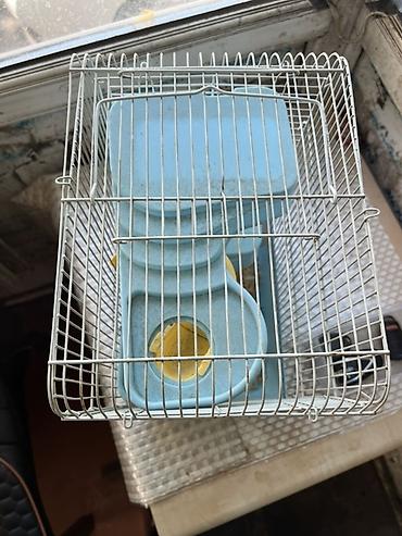 Зоотовары: Hamster və balaca gəmiricilər üçün qəfəs - Rəng: açıq mavi plastik — 3
