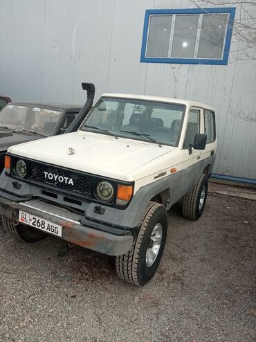 Двери: Toyota LandCruiser 70 Series: 1988 г., 2.8 л, Механика, Дизель, Купе
