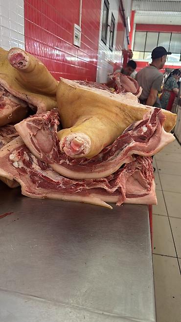 Свинина: СВИНИНА

猪肉。家养猪肉，非常美味。每天都有新鲜猪肉供应。

现有以下部位：
	•	后腿肉
	•	前腿肉
	•	猪排和排骨
	•	五 — 5