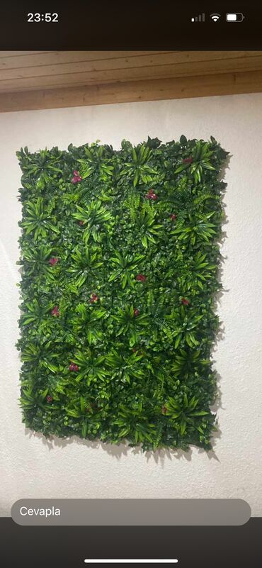 Toxumlar: 10 azn başlayan qiymətlər Suni qazon depodan bi̇r başa satişdir — 16