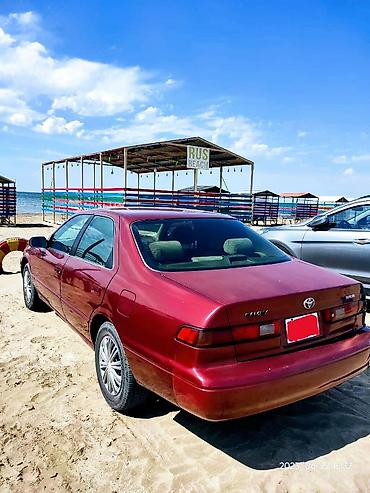 camry: Toyota Camry: 2.2 l | 1999 il Sedan — 6