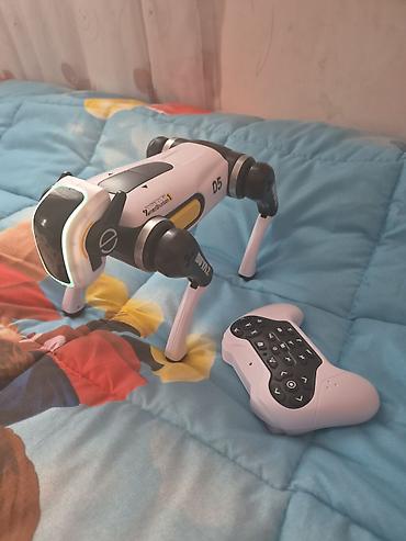 pultlu masin 07: RC Robot İt – D5 model - Göstərilən dəstdə futuristik dizaynlı — 2