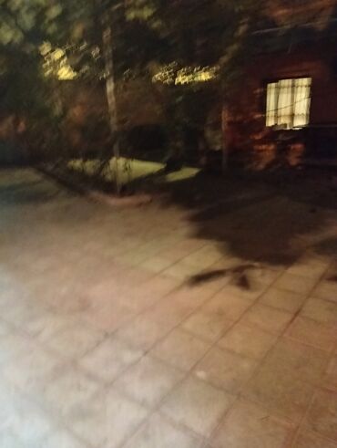 Uzunmüddətli kirayə evlər: 120 kv. m, 4 otaqlı, Kombi, Qaz, İşıq — 29