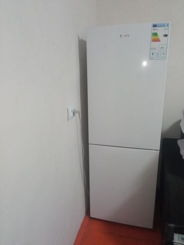 холодильник мини: Муздаткыч AEG, Жаңы, Эки эшиктүү