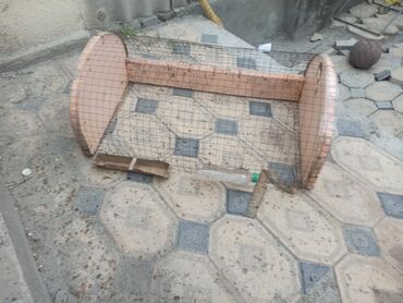 Товары и оборудование для с/х животных: Клетка для сыплят 250 сом