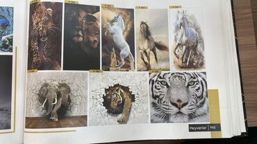 Kağız oboylar: Topdan qiymete Pərakəndə satış 💵 Qiymetler cox munasibdi her bir -da lalafo.az — 12 Kağız oboylar: Topdan qiymete Pərakəndə satış 💵 Qiymetler cox munasibdi her bir — 12