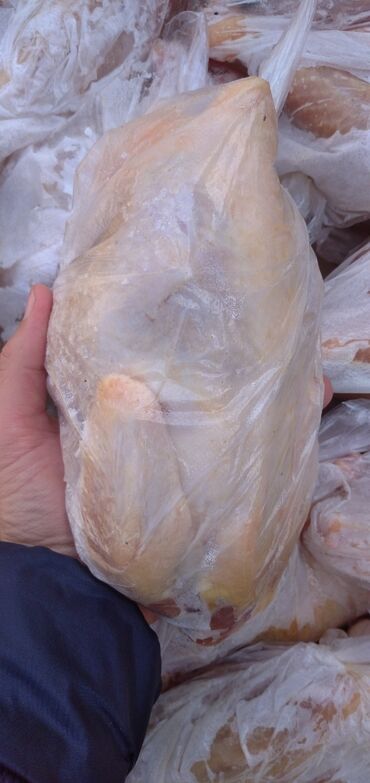 прикол курочки in Кыргызстан | ПТИЦЫ: Мясо - тушки кур несушек 0.9 - 1 кг! Цена 140 сомов за кг, в коробке