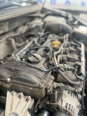 магазин садового инвентаря бишкек: Замена крышки прокладки 
Любой автомобиль