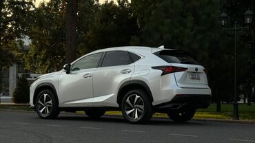 Lexus: Lexus NX: 2018 г., 2 л, Автомат, Бензин, Кроссовер