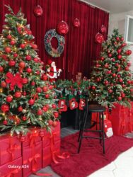 Təlim, kurslar: Foto çəkiliş | Studiya | Tədbirlərin çəkilişi, Love story, Toy fotosesiyası