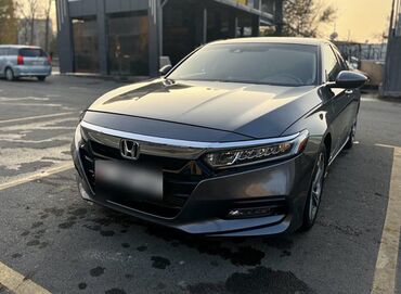 хонда витс: Honda Accord: 2019 г., 1.5 л, Вариатор, Бензин, Седан