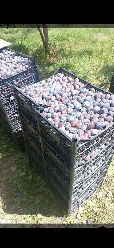 Ящики: Ящик, Новый — 13