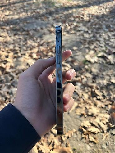 Apple iPhone: IPhone 12 Pro, Графит — 4