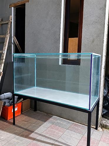 Dördbucaq akvarium, Boş, 600 l lalafo.az -da Dördbucaq akvarium, Boş, 600 l