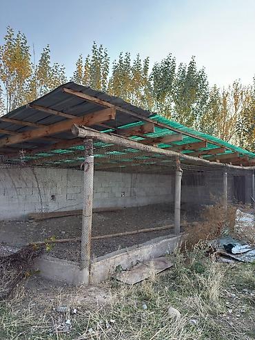 Продажа участков: 170 соток, Для строительства, Договор долевого участия — 16