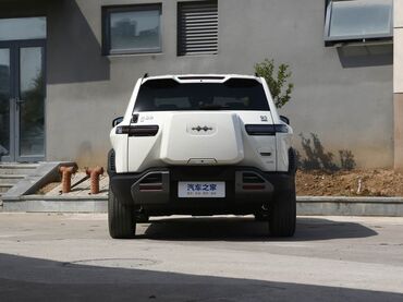 BYD: BYD : 2025 г., Электромобиль, Внедорожник — 3