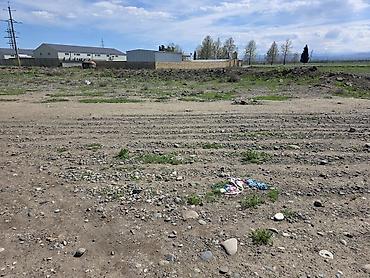 yeni emlak kiraye: 98 sot, Kənd təsərrüfatı, Mülkiyyətçi, Kupça (Çıxarış), Texniki pasport — 7
